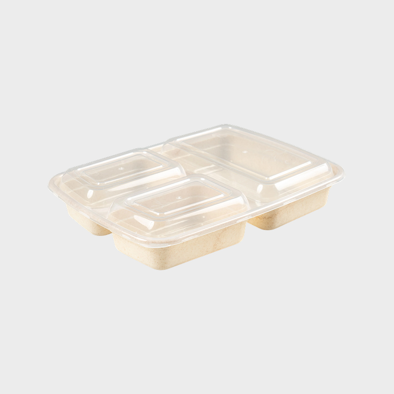 Trojkomorový Bento Box PFK004/PFK003